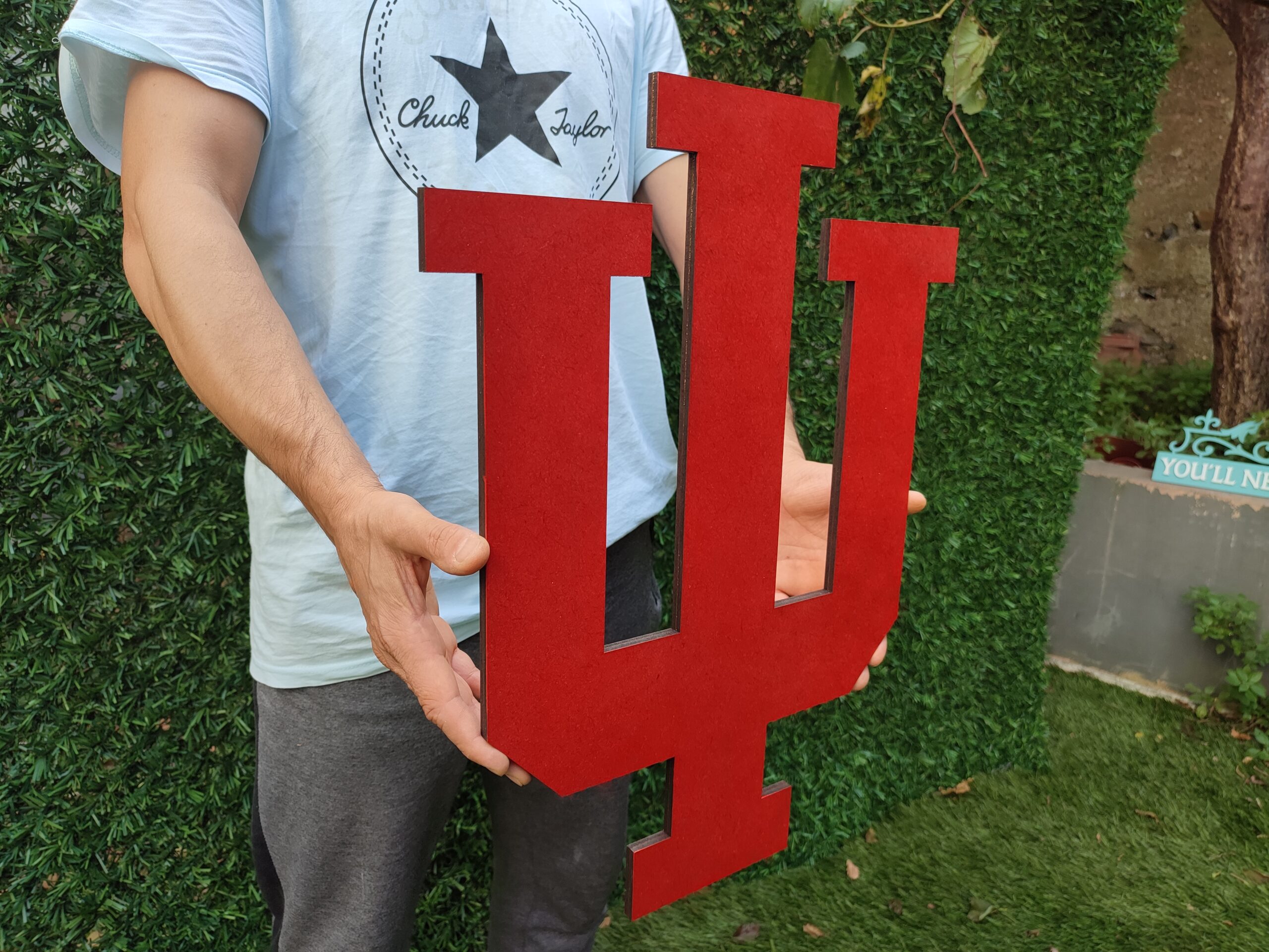 3D Indiana Hoosiers football team Logo, Indiana Hoosiers Wall art, Indiana Hoosiers wall hangings, Indiana Hoosiers football team art sign, Team logo