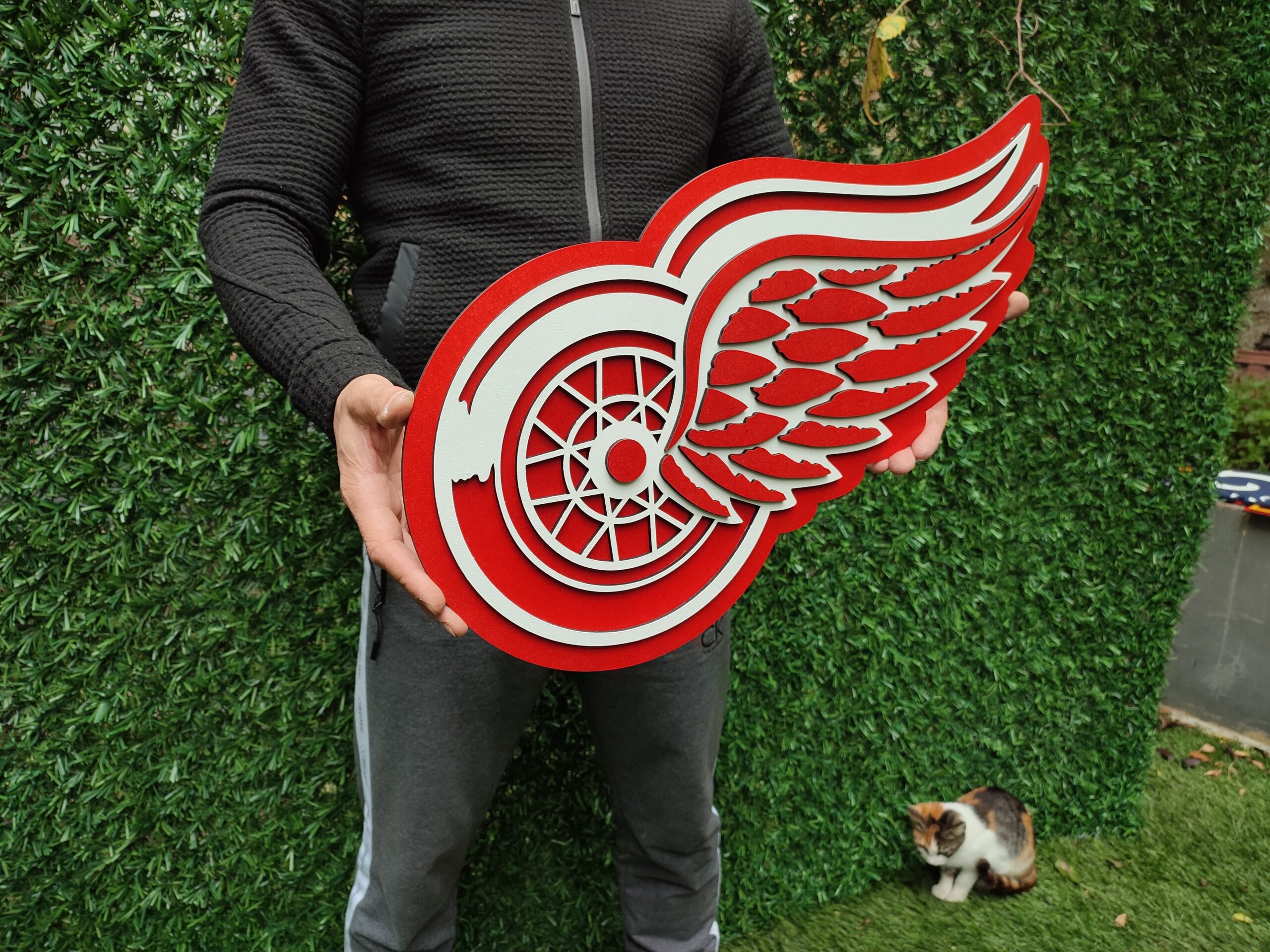 3D Detroit Red Wings hockey team Logo, Detroit Red Wings Wall art, Detroit Red Wings wall hangings, Detroit Red Wings hockey team art sign, Team logo