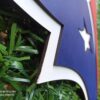3D Houston Texans football team Logo, Houston Texans Wall art, Houston Texans wall hangings, Houston Texans football team art sign, Team logo - Image 6